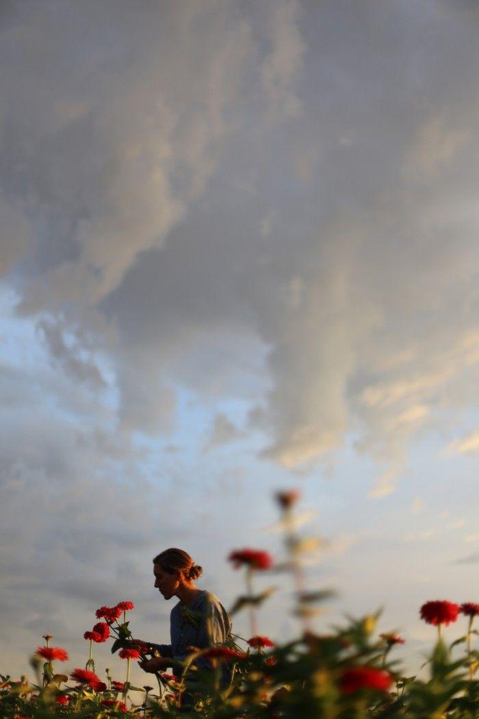 Professional floral arrangement in modern corporate setting